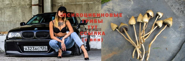 мяу мяу мука Заволжск