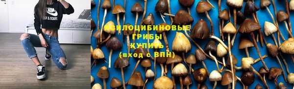 мяу мяу мука Заволжск