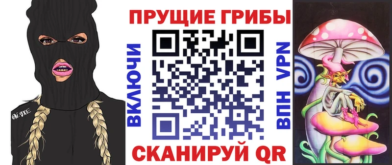 Псилоцибиновые грибы Cubensis  Купить закладки  Киров 